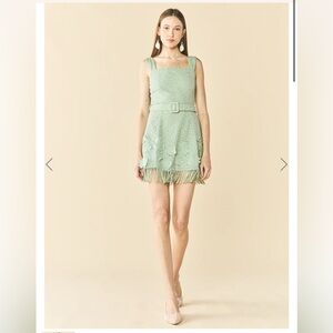 NWT EDDY Sarah Bird Mini Dress